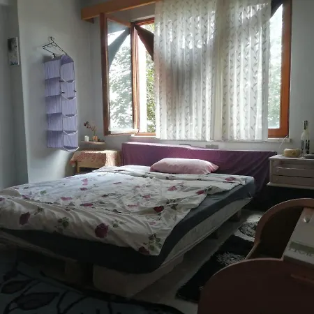 Hippi House 아파트 사카리아