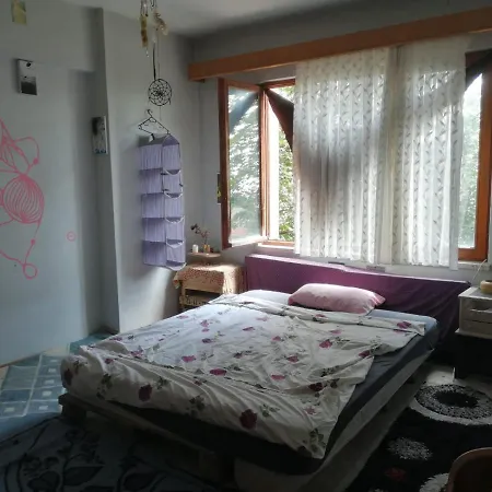 Hippi House 아파트 사카리아
