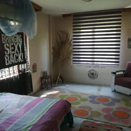 Hippi House * 사카리아